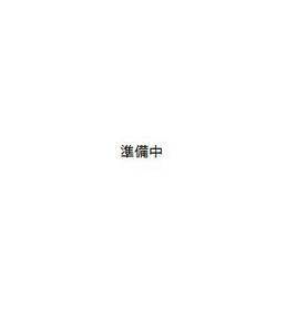 蓮根２丁目アパート（仮） 3階建