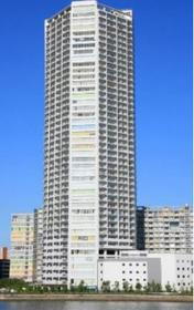 東京都江東区東雲１ 44階建 築17年5ヶ月