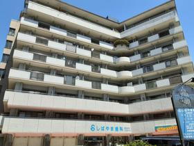 群馬県高崎市八島町 8階建 築38年4ヶ月