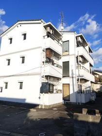 セントポーリア八景水谷