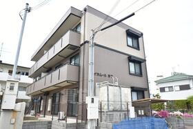 ハイカムール木下