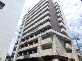 ＲＡＦＦＬＥ　ＯＺＯＮＥ（ラッフル　オオゾネ）