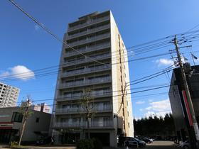 北海道札幌市厚別区厚別中央二条２ 11階建 築20年3ヶ月