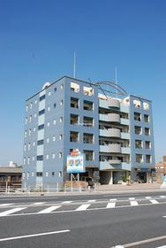 神奈川県茅ヶ崎市中海岸３ 7階建 築21年5ヶ月