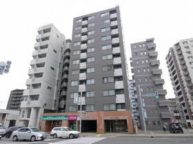 北海道札幌市豊平区月寒中央通４ 11階建 築30年4ヶ月