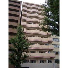 愛知県名古屋市中区丸の内２ 11階建 築39年7ヶ月