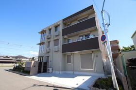 ｇｒａｃｉａｎａｖｅ（グレーシアナヴィ）