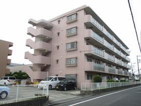 神奈川県藤沢市石川１ 5階建 築24年10ヶ月