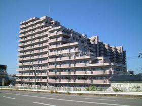 新潟県新潟市西区青山２ 14階建 築31年2ヶ月