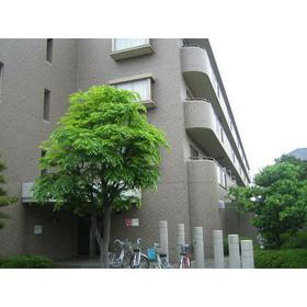 東京都葛飾区東水元１ 4階建 築29年11ヶ月