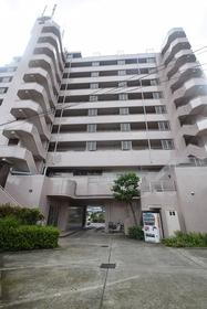 神奈川県藤沢市西富 地上10階地下2階建 築31年10ヶ月