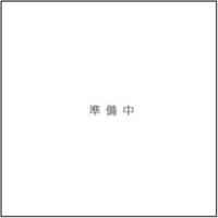 (仮)DーROOM北小岩