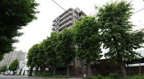 北海道札幌市中央区北二条西２１ 10階建 築26年