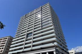 兵庫県神戸市中央区海岸通１ 19階建 築1年10ヶ月