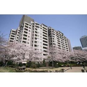 東京都中央区佃１ 14階建 築37年2ヶ月
