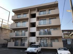 サイトウパピルス