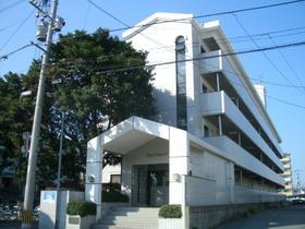 福岡県福岡市東区松島１ 4階建 築37年3ヶ月
