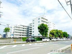 神奈川県海老名市中新田１ 8階建 築37年3ヶ月