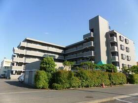 埼玉県春日部市道口蛭田 5階建 築30年5ヶ月
