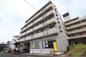 ジュネスタチバナ