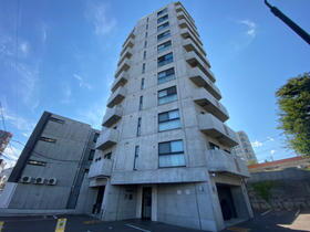 北海道札幌市中央区南二条西２７ 11階建 築13年9ヶ月