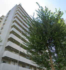 東京都新宿区西新宿８ 賃貸マンション