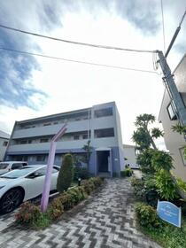 ヴェルドミールステラ