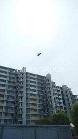 埼玉県朝霞市朝志ケ丘１ 賃貸マンション