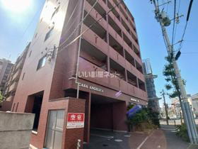 ＣＡＳＡ　ＡＮＧＥＬＩＣＡ 7階建