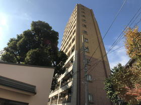 兵庫県神戸市中央区下山手通７ 13階建 築18年7ヶ月