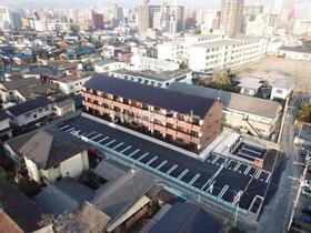 Ｐｏｌｏｎｉａ　Ｋｏｋｕｒａ－ｋｉｔａ