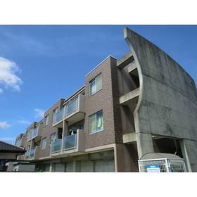静岡県浜松市中央区富塚町 3階建 築23年4ヶ月