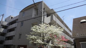 東京都八王子市千人町３ 4階建 築31年4ヶ月