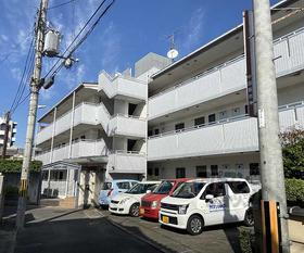 京都府京都市西京区上桂三ノ宮町 3階建