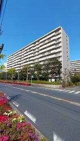 東京都昭島市つつじが丘２ 11階建 築39年10ヶ月