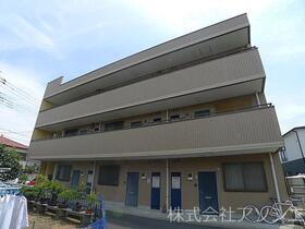 フェンネル立澤