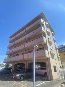 大阪府泉佐野市中庄 賃貸マンション