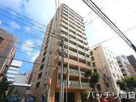 サヴォイ博多ブールバール 15階建