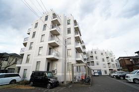 神奈川県川崎市多摩区中野島５ 5階建 築30年5ヶ月