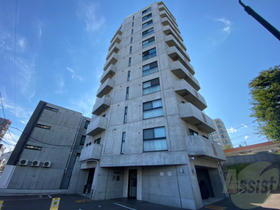北海道札幌市中央区南二条西２７ 11階建 築13年9ヶ月