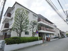 神奈川県川崎市多摩区登戸 3階建 築41年6ヶ月
