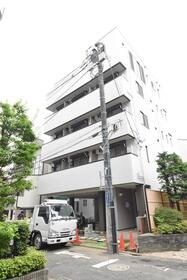 ｖｉｏｌａ　ｍｉｔａｋａ