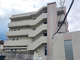 愛媛県松山市鷹子町 4階建 築20年8ヶ月