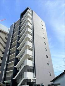 愛知県名古屋市西区則武新町３ 11階建 築1年10ヶ月