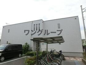 ラシーネ扇　スターチス