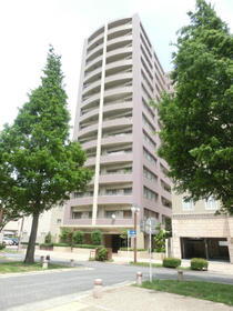 静岡県浜松市中央区中央１ 14階建 築20年10ヶ月