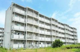 神奈川県平塚市大島 5階建 築52年3ヶ月