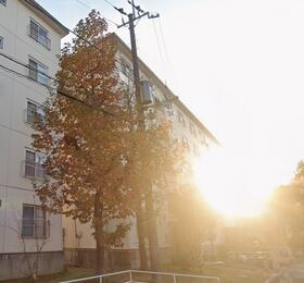 泉北桃山台一丁３－１１号棟