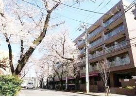 神奈川県横浜市青葉区美しが丘２ 地上5階地下1階建 築19年4ヶ月