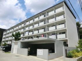 埼玉県さいたま市浦和区常盤１０ 5階建 築54年4ヶ月